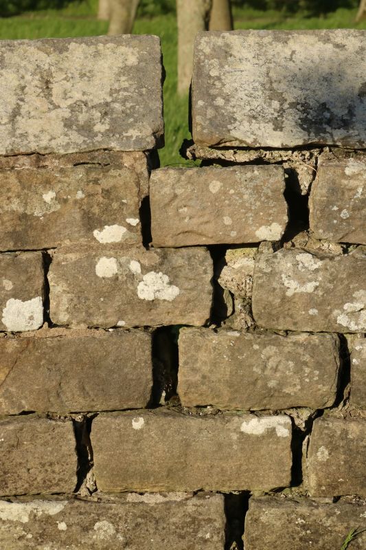 Stone Wall Repair in Houston County, GA